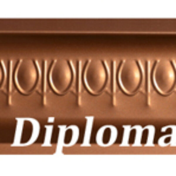 DIPLOMAT EMBOSSED GUTTERS