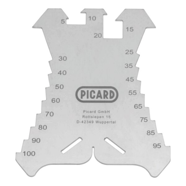 Stainless Steel PICARD Scriber